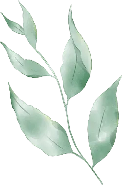 Green Leafy Branch - High Download Count PNG