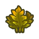 Oak Leaf - nature - life - High Resolution PNG