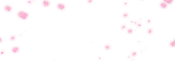 Pink Petals Falling - Transparent Background PNG - Free PNG