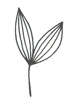 Clover - Popular Download PNG - growth