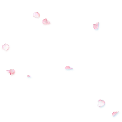 Pink Petals - pink - Popular Download PNG