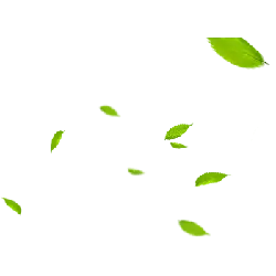 Falling Leaves - nature - background - No Watermark PNG