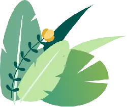 Green Plant - nature - Highly Rated PNG