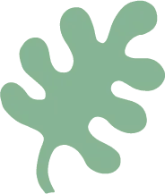 Leaf - leaf - Curated PNG