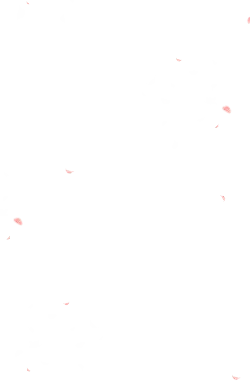 Moon - nightsky - Designer Recommended PNG