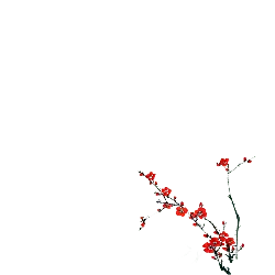 Plum Blossom - red - black background - High Resolution PNG