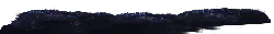 Stars in the Night Sky - stars - Designer Recommended PNG