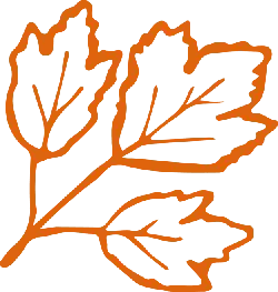 Maple Leaf - outline - PNG Images