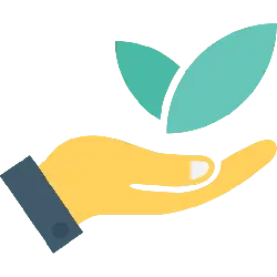Hand Holding Leaves - nature - Transparent Layer PNG