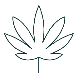 Marijuana Leaf - Lossless PNG