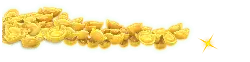 Gold Coins - treasure - currency - PNG Images