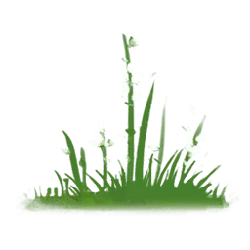 Flowers on Grass - growth - Free PNG