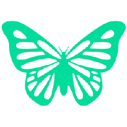 Butterfly - green - insect - High Resolution PNG