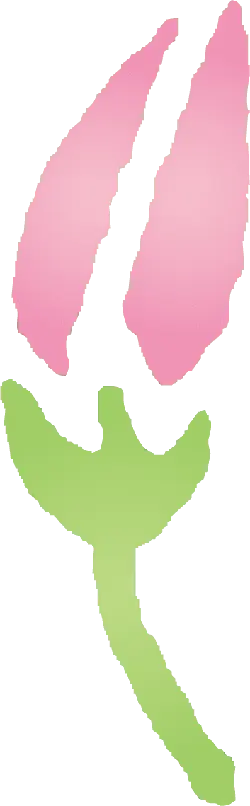 Pink Flower - beautiful - No Background PNG