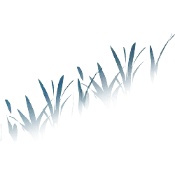 Blue Grass - nature - Lossless PNG
