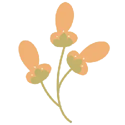Three Petal Flower - plant - High Resolution PNG