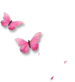 Pink Butterfly - nature - beautiful - Free PNG