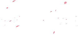 Pink Petals Falling - High Resolution PNG - romantic