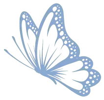 Butterfly - blue - wings - High Resolution PNG