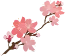 Cherry Blossom - High Resolution PNG - spring - Pic 6