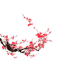 Plum Blossom - red - plant - High Resolution PNG