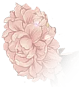 Pink Flower - illustration - Recommended PNG