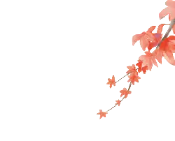 Autumn Leaves - leaves - autumn - PNG