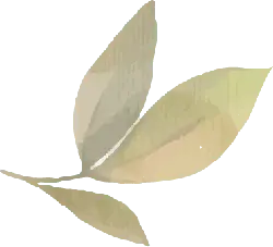 Leaf - Highly Rated PNG - PNG