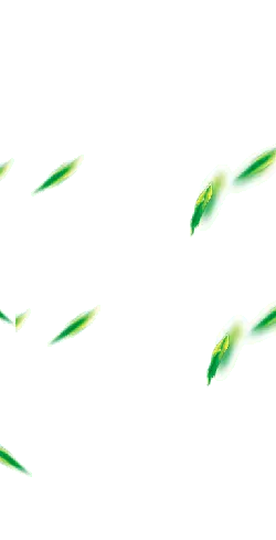 Green Feathers - Recommended PNG