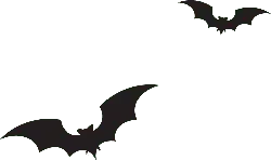 Bat - flying - silhouette - PNG Images