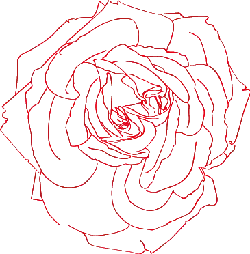 Rose - abstract - line art - Lossless PNG