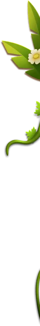 Green Leaves and White Flower - plant - No Watermark PNG