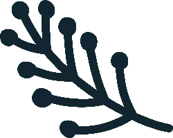 Branch - growth - Trending PNG
