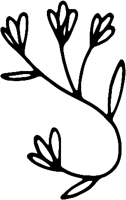 bird - Black Owl - High Resolution PNG - Pic 2