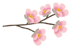 Peach Blossom Branch - No Background PNG