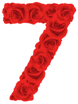 Number 7 made of roses - red - Lossless PNG