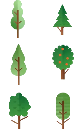 Tree - life - forest - Transparent Layer PNG