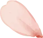 Cherry Blossom Petal - beautiful - Free Download PNG