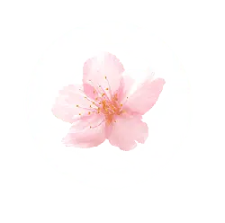 Cherry Blossom Bubble - bubble - No Background PNG