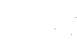 Pink Petals - spring - pink - Free Download PNG