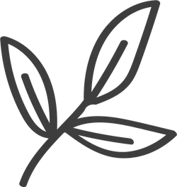 Clover - No Watermark PNG - leaf