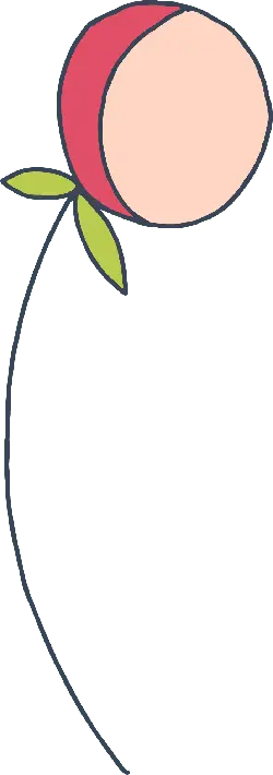 Peach - Transparent Background PNG - nutritious
