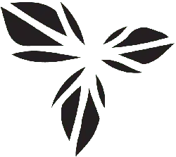 Clover - environmental protection - High Resolution PNG