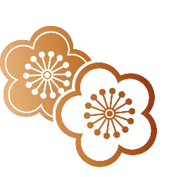 Plum Blossom - plant - chinese - Transparent Layer PNG