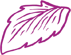 Purple Leaf - plant - leaf - No Watermark PNG