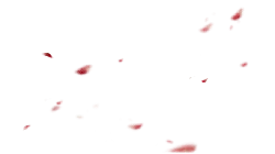 Red Petals Falling - red - natural phenomenon - High Resolution PNG