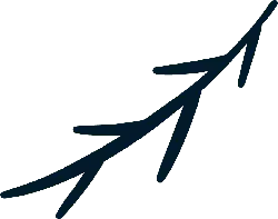 Branch - growth - Highly Rated PNG