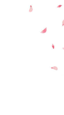 Pink Petals Falling - High Download Count PNG - beautiful