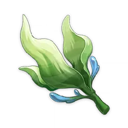 Water Drop Leaf - nature - Transparent Background PNG