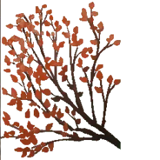 Autumn Leaves Branch - Lossless PNG